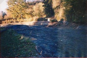 ausbaggeren.weier.3jpg